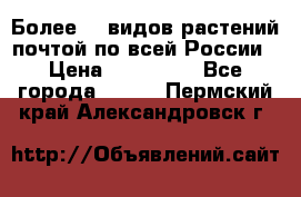 Более200 видов растений почтой по всей России › Цена ­ 100-500 - Все города  »    . Пермский край,Александровск г.